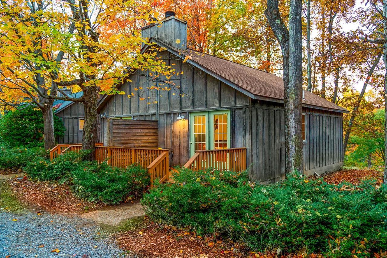 Love Ridge Mountain Lodging Lyndhurst Exterior photo